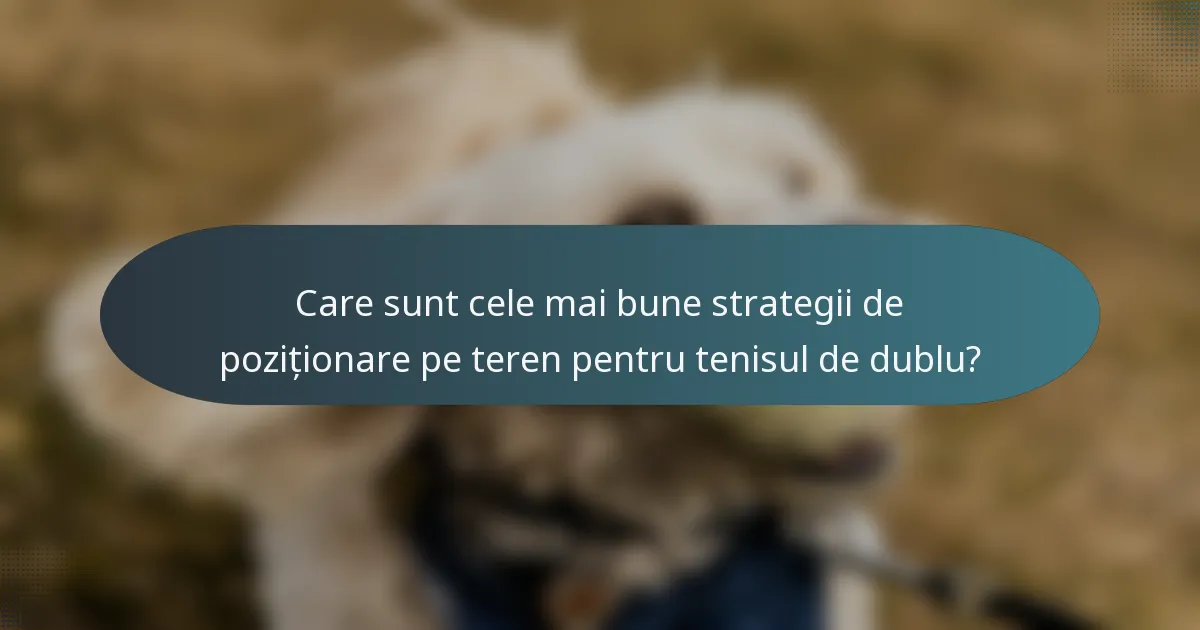 Care sunt cele mai bune strategii de poziționare pe teren pentru tenisul de dublu?