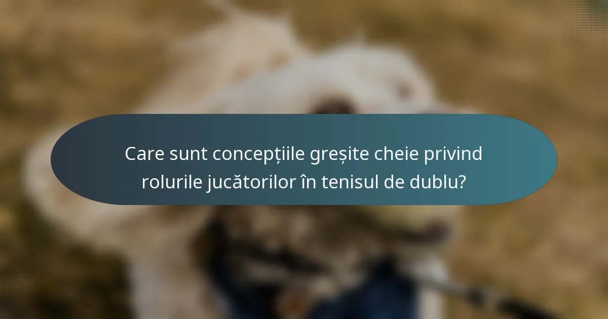 Care sunt concepțiile greșite cheie privind rolurile jucătorilor în tenisul de dublu?