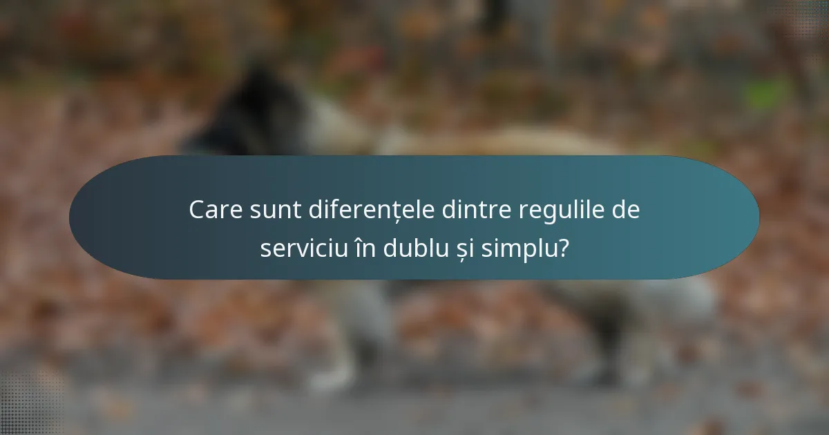 Care sunt diferențele dintre regulile de serviciu în dublu și simplu?