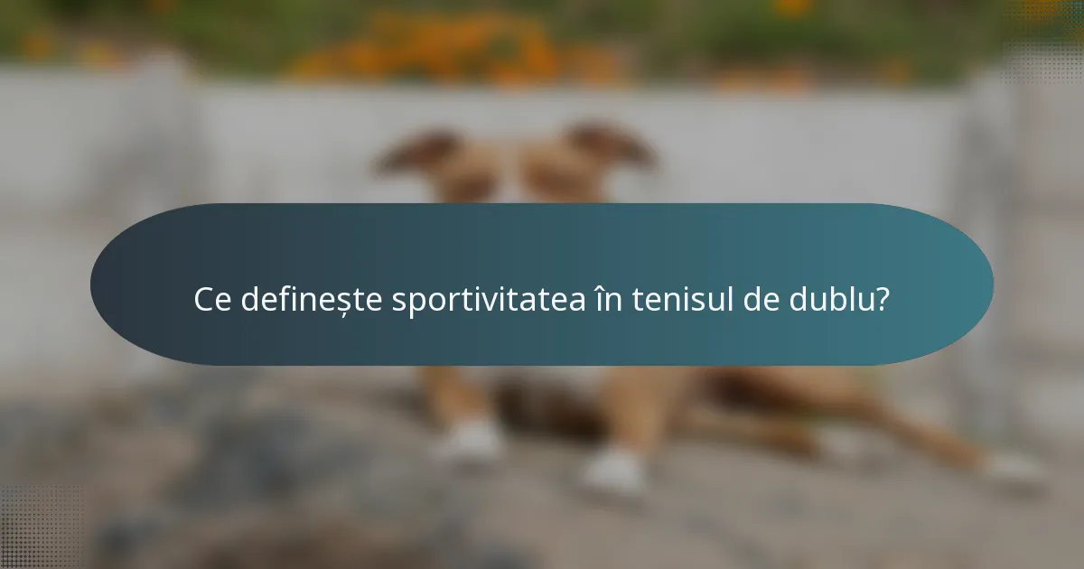 Ce definește sportivitatea în tenisul de dublu?