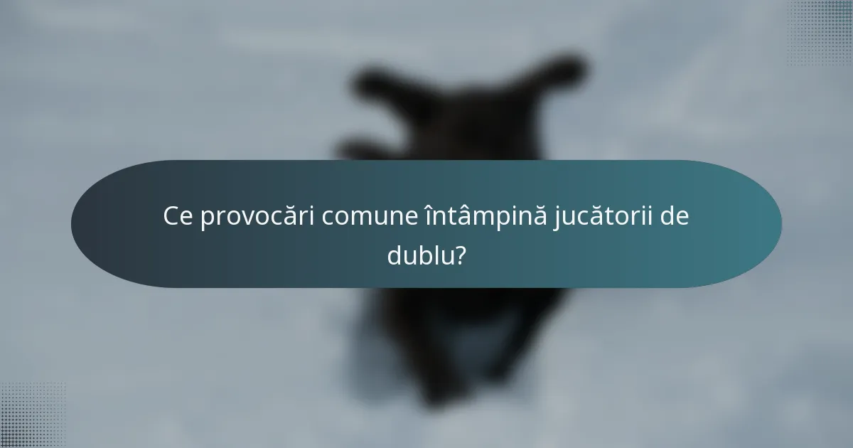 Ce provocări comune întâmpină jucătorii de dublu?