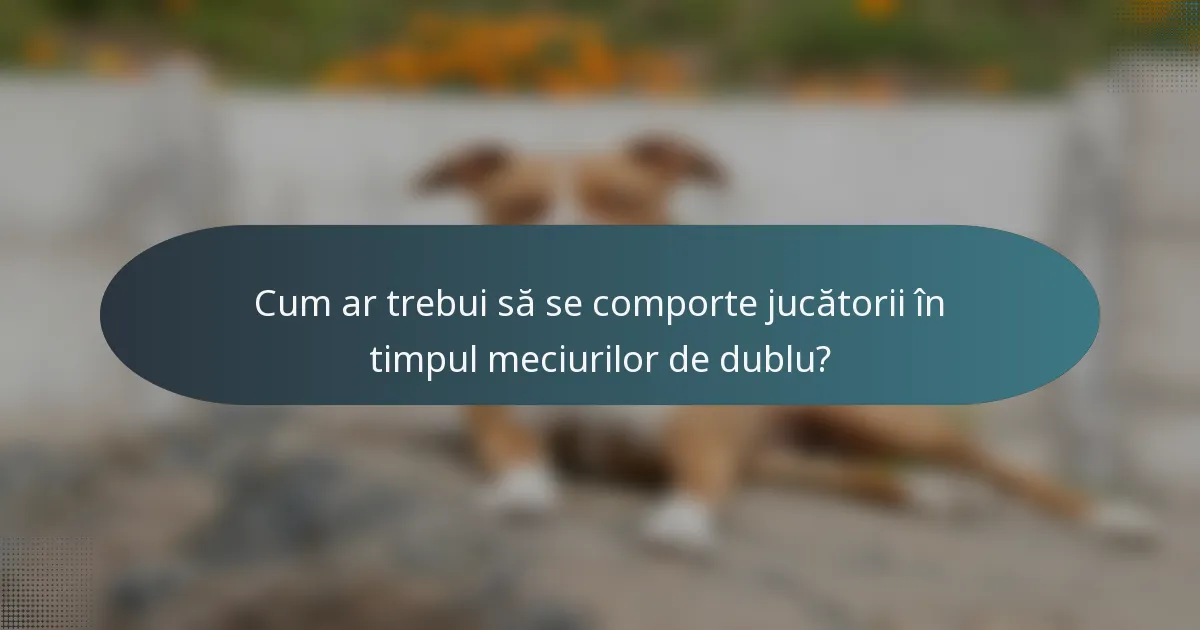 Cum ar trebui să se comporte jucătorii în timpul meciurilor de dublu?