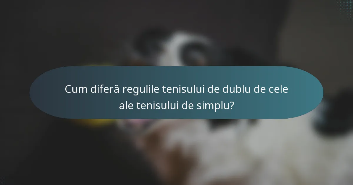 Cum diferă regulile tenisului de dublu de cele ale tenisului de simplu?
